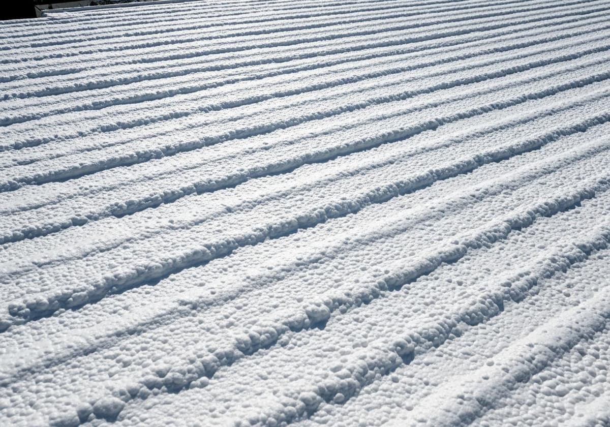 Foam Roofing Contractors